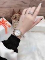 Marque: Michael Kors Modèle:RITZ Mindy Boîtier: Diamètre : 36 mm Epaisseur : 8 mm Acier inoxydable GOLD Cadran: Verre : Minéral GOLD Bracelet: Acier inoxydable Bronze Etanchéité: 50 m (5 ATM) Type de boucle: Boucle déployant