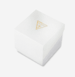 boite Montre GUESS GW0807L1 argentée