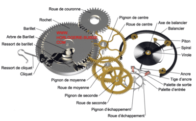 le mécanisme montre automatique maroc