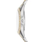Profil du boîtier en acier de la montre femme Michael Kors MK4811